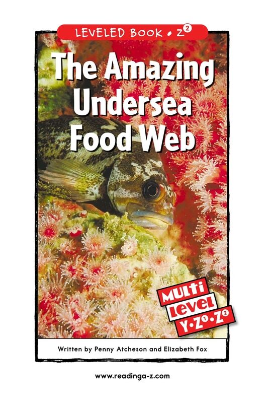 The Amazing Undersea Food Web绘本故事第2页