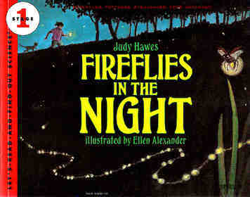 Fireflies in the Night