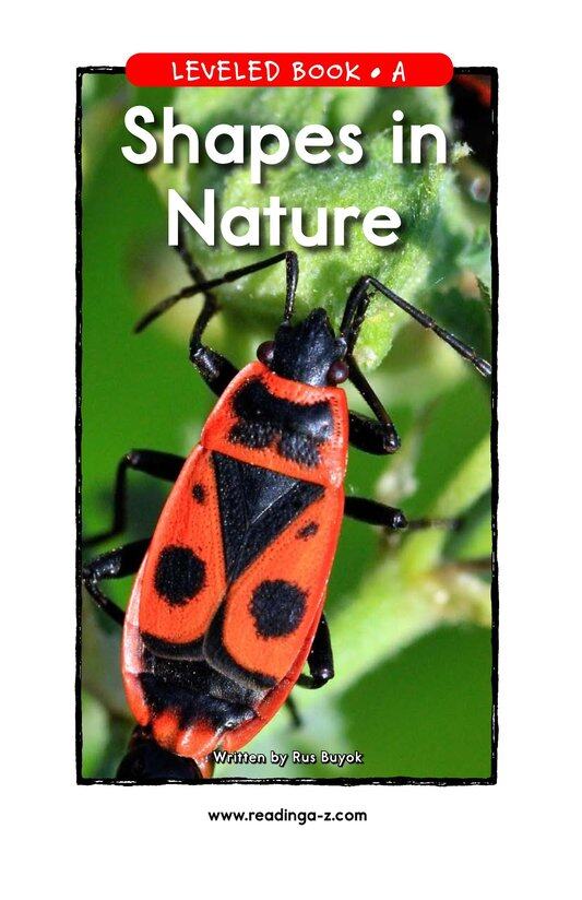 Shapes in Nature绘本故事第2页