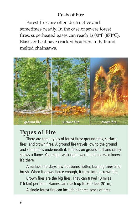 Forests on Fire绘本故事第5页