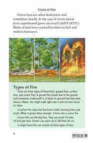 Forests on Fire绘本故事第5页