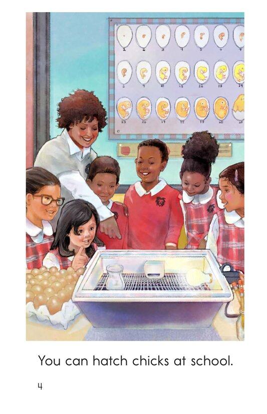 Hatching Eggs绘本故事第4页