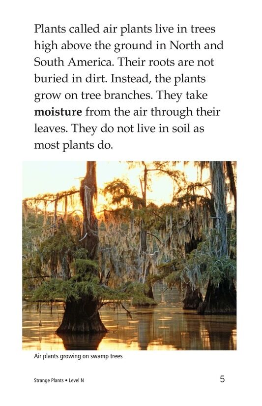 Strange Plants绘本故事第5页