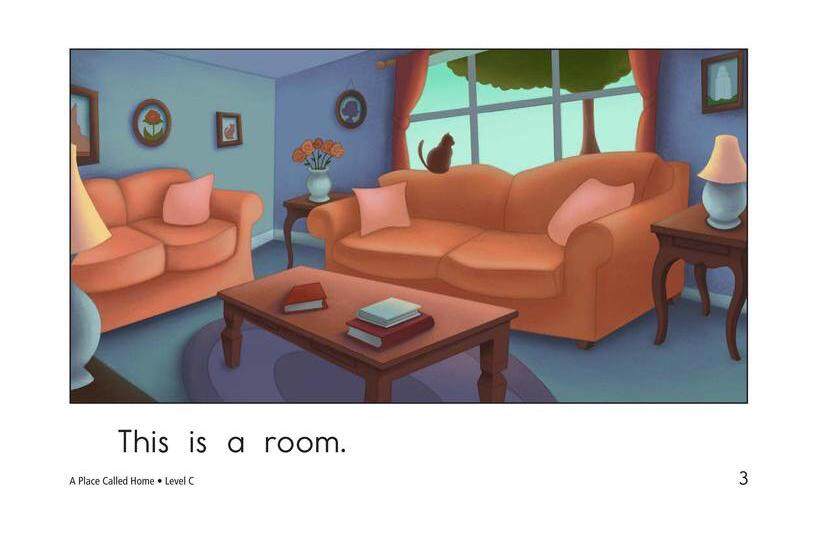 A Place Called Home绘本故事第3页