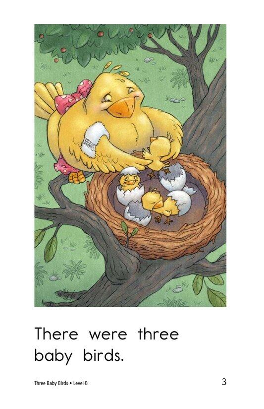 Three Baby Birds绘本故事第3页