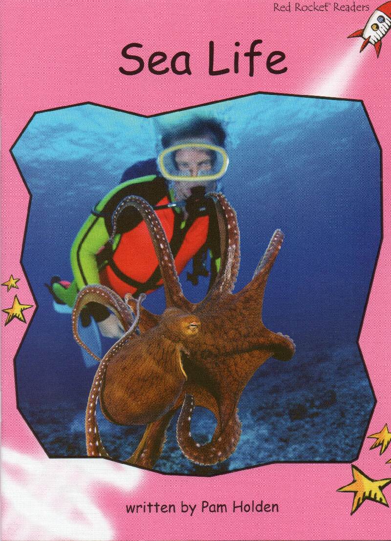 sea life绘本故事第2页