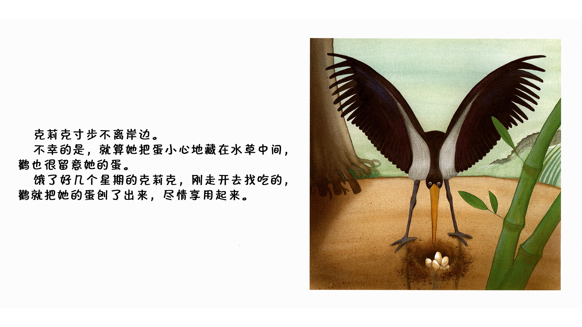 鳄鱼绘本故事第5页