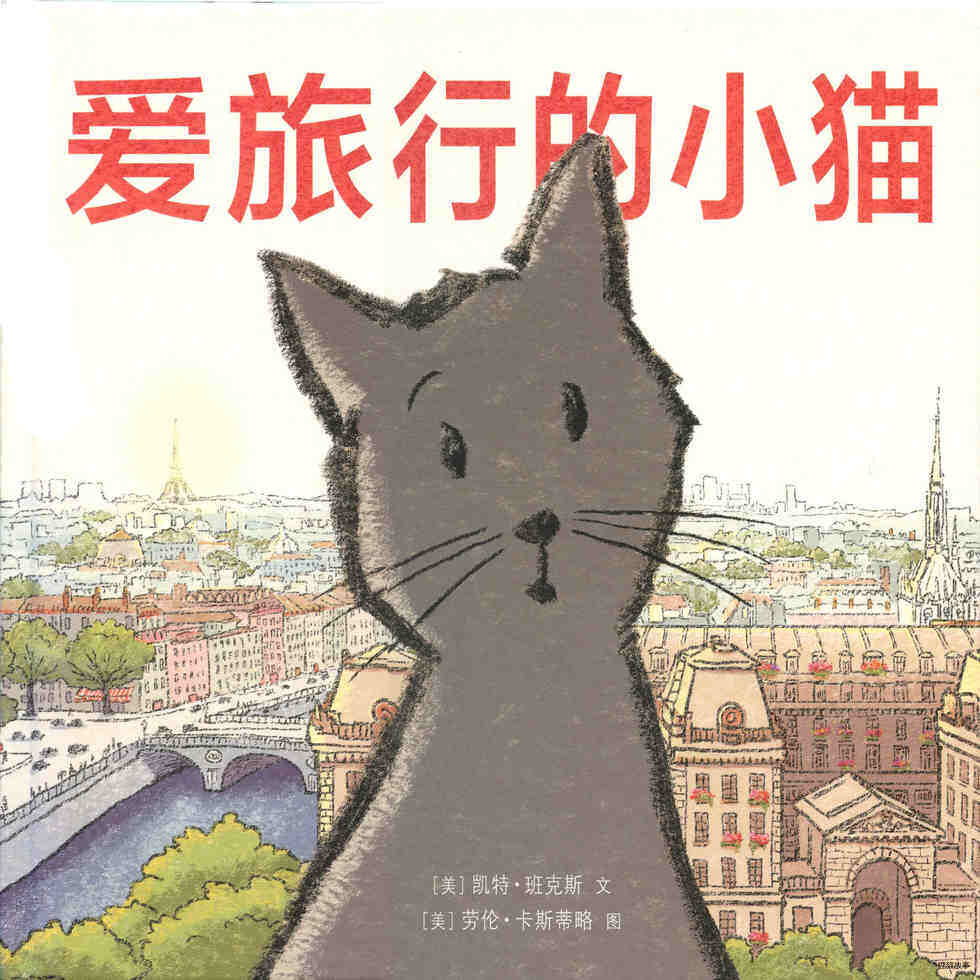 爱旅行的小猫