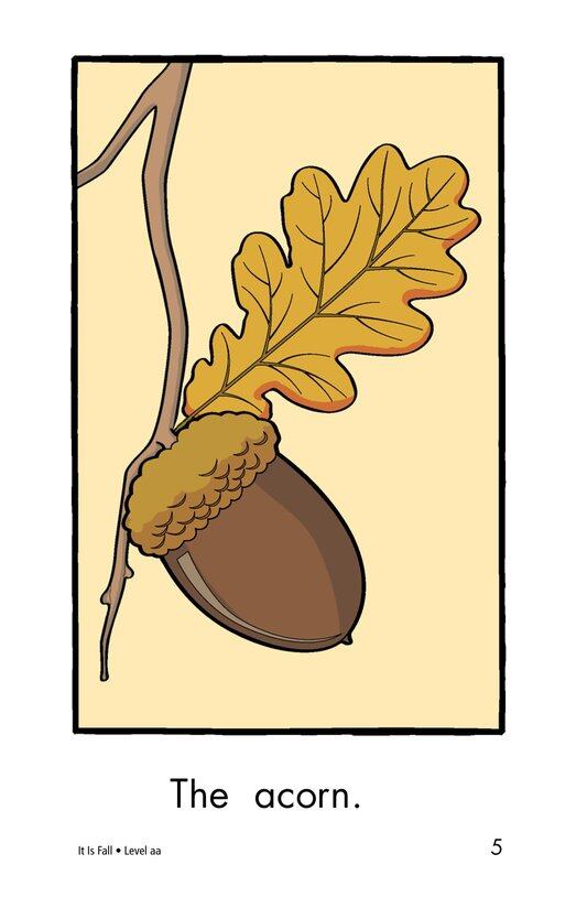 It Is Fall绘本故事第5页