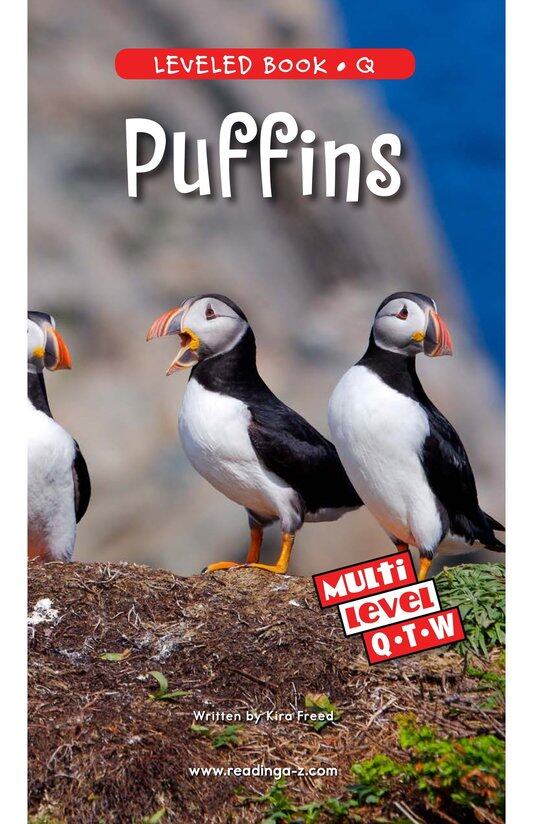Puffins绘本故事第2页