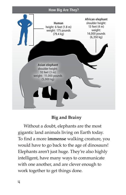 Elephants Giant Mammals绘本故事第3页