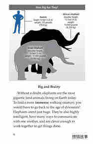 Elephants Giant Mammals绘本故事第3页