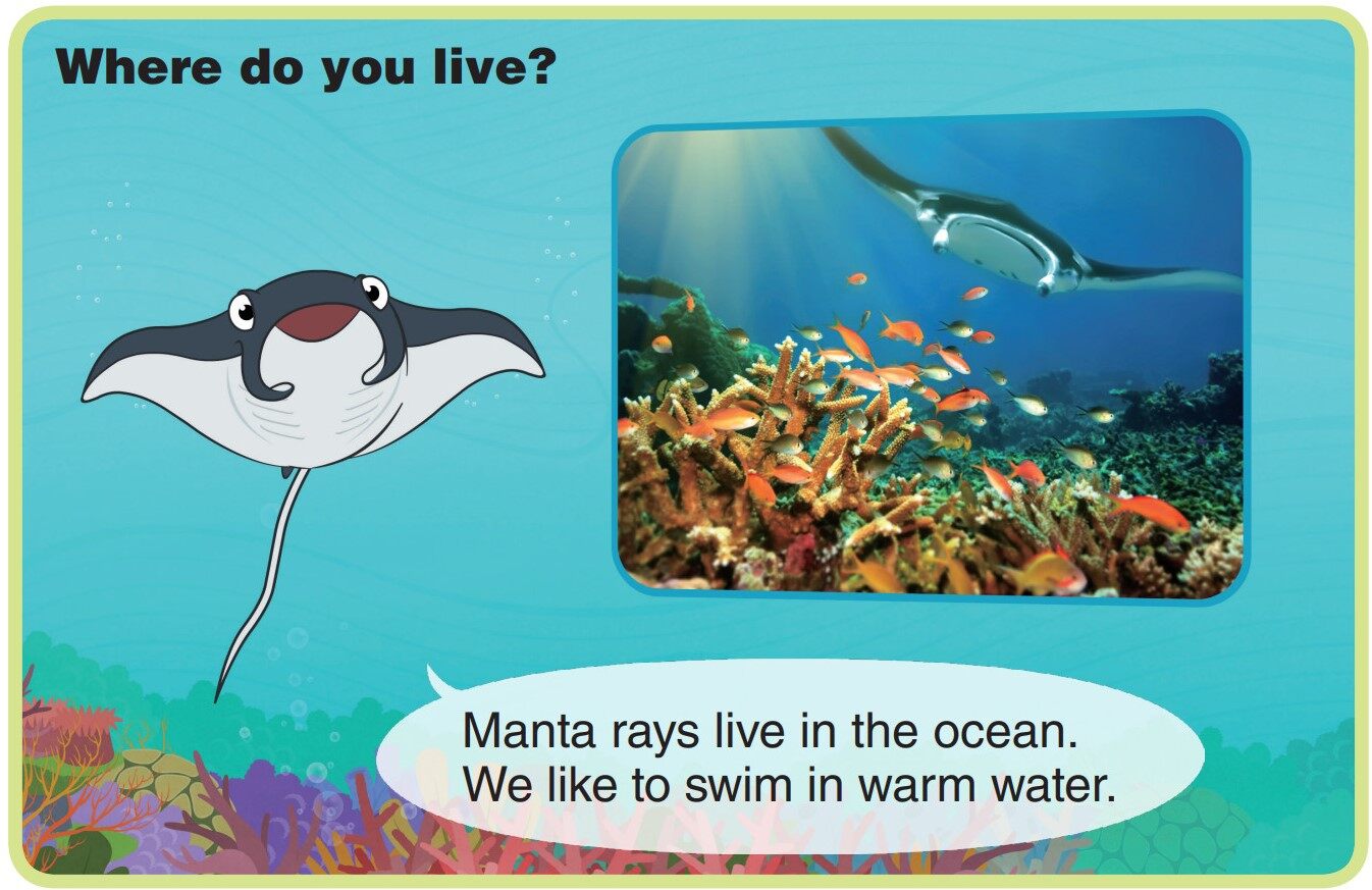 Manta Ray绘本故事第5页