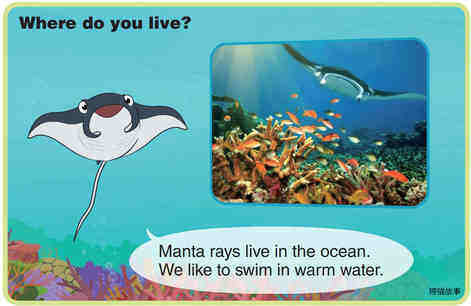 Manta Ray绘本故事第5页