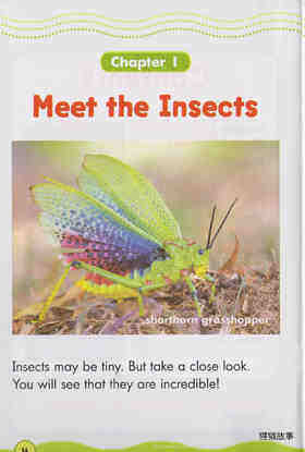 Incredible Insects绘本故事第3页