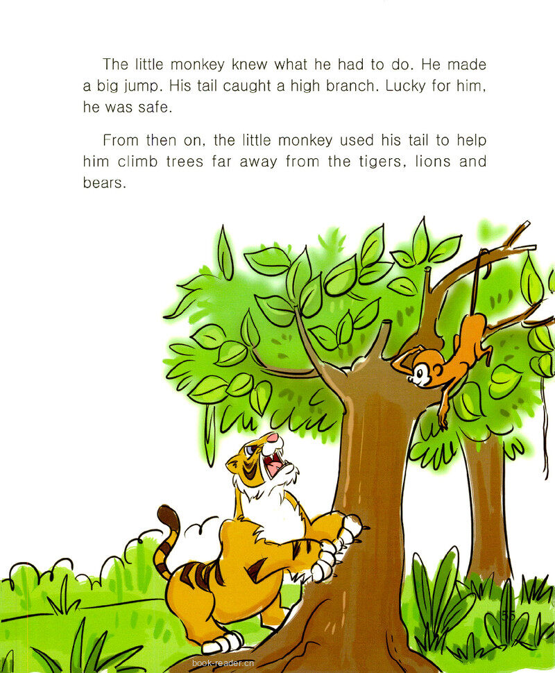 The Monkey and His Tail绘本故事第3页