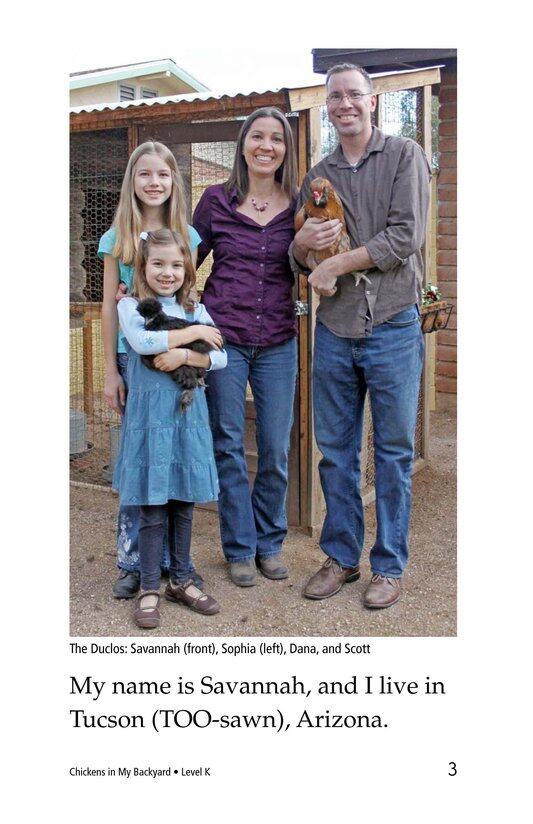 Chickens in My Backyard绘本故事第3页