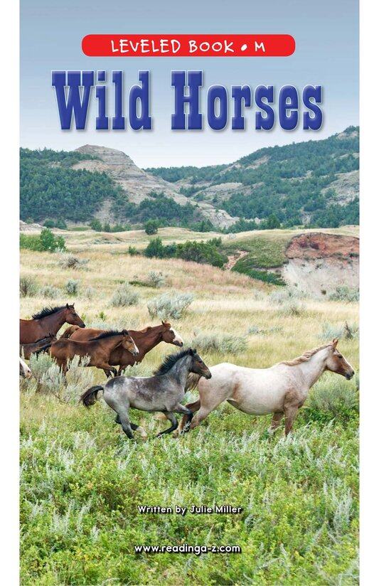 Wild Horses绘本故事第2页