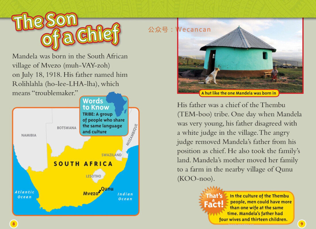 Nelson Mandela绘本故事第5页