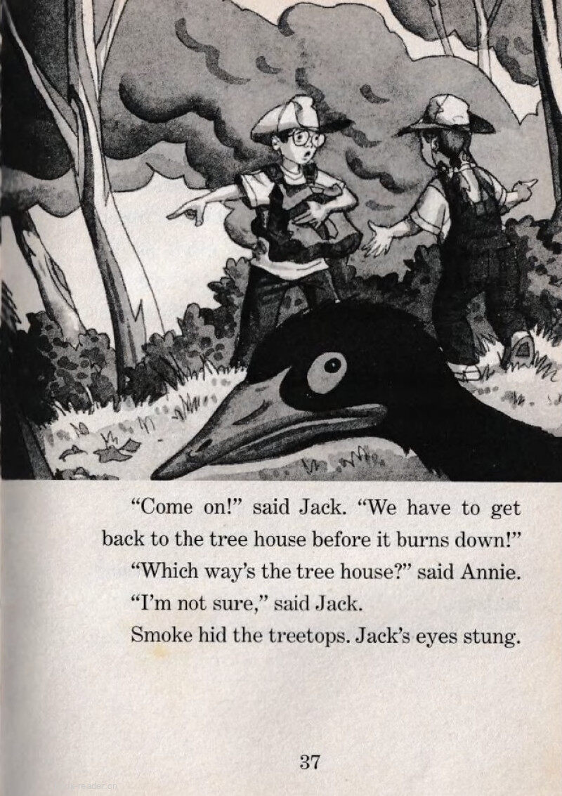 05 Wildfire!绘本故事第4页