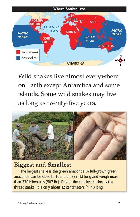 Slithery Snakes绘本故事第4页