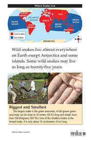 Slithery Snakes绘本故事第4页
