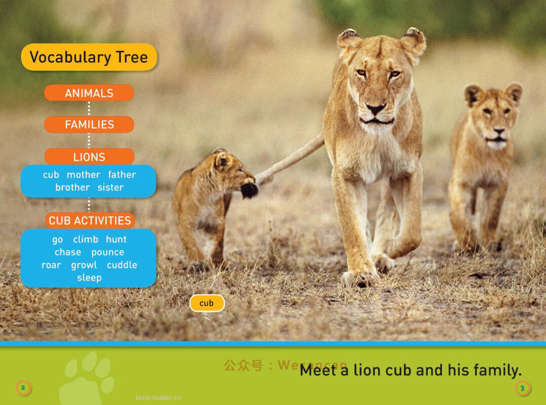 Go Cub绘本故事第3页