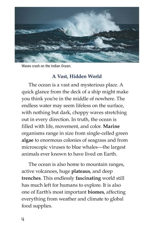 Oceans绘本故事第3页