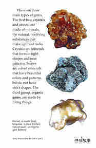 Gems Treasures from the Earth绘本故事第4页