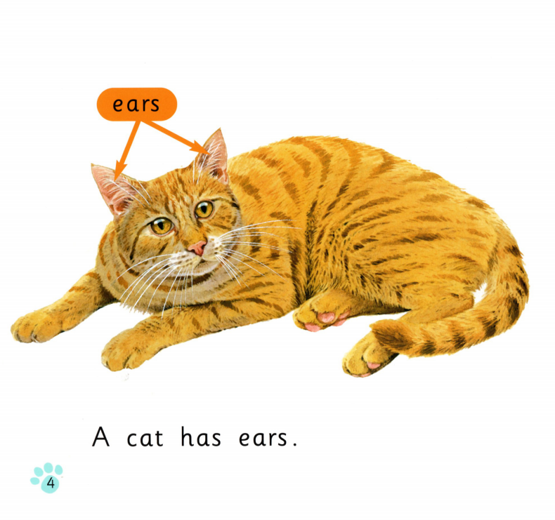 Cats绘本故事第4页