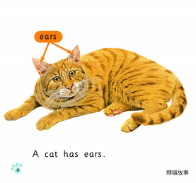 Cats绘本故事第4页