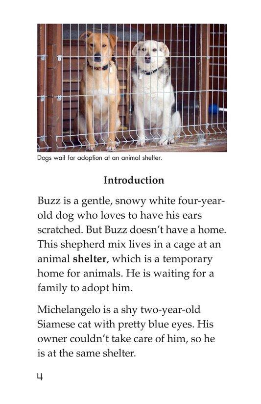 Shelter Pets Are Best绘本故事第3页