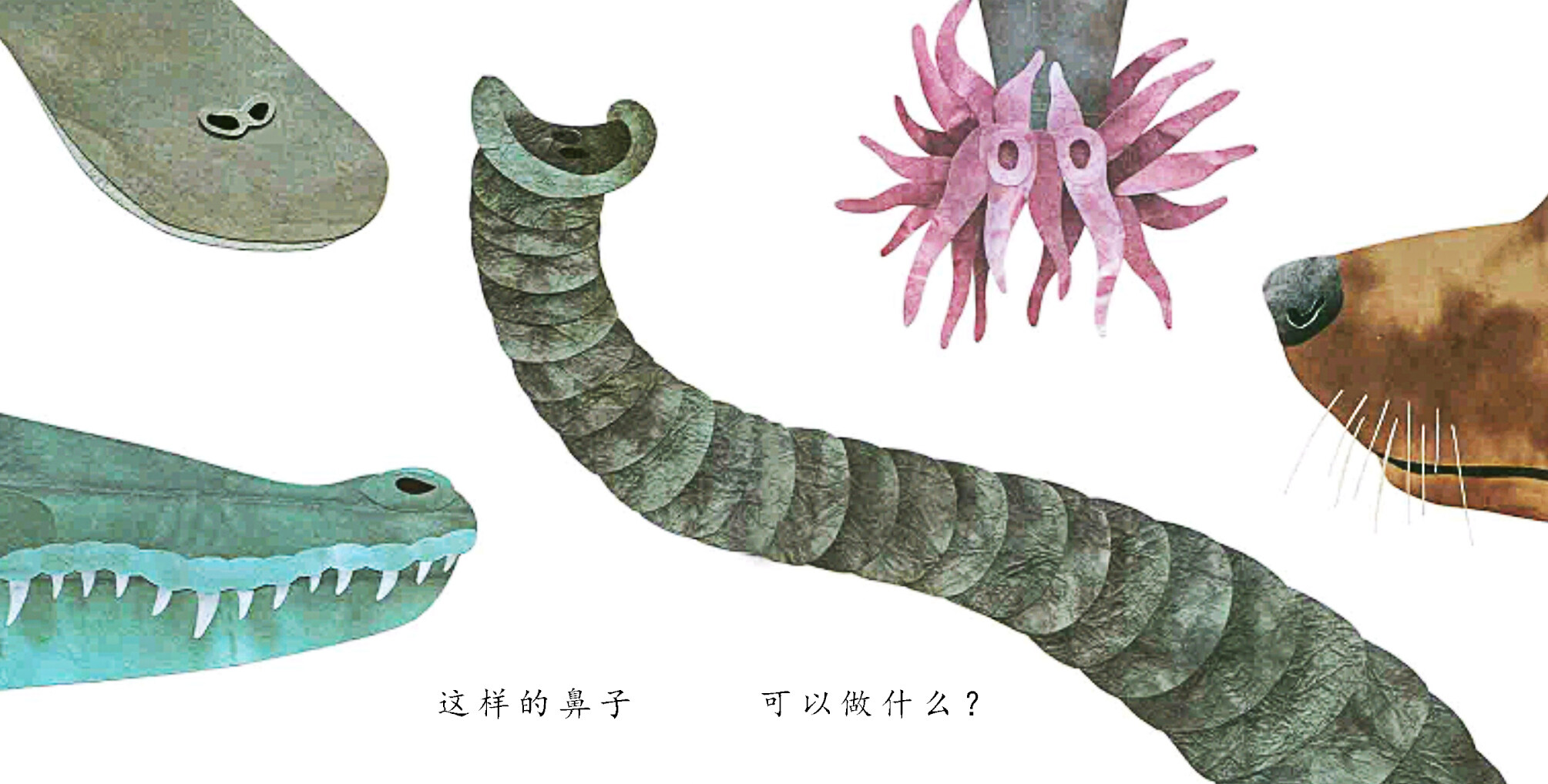 这样的尾巴可以做什么绘本故事第4页
