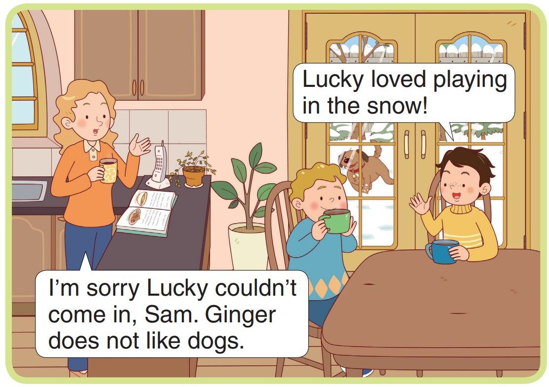 The Sleepover绘本故事第2页