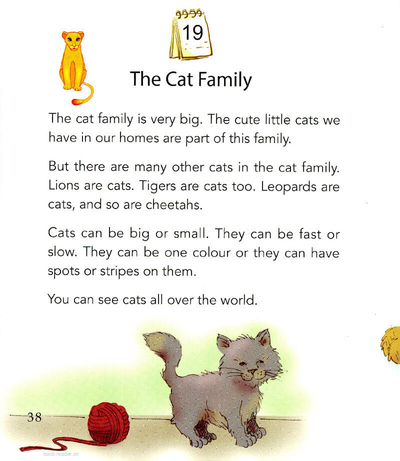 The Cat Family绘本故事第2页