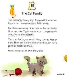 The Cat Family绘本故事第2页