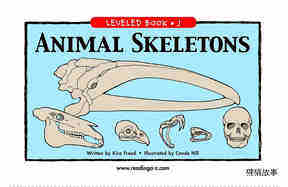 Animal Skeletons