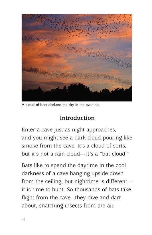 Bats绘本故事第3页