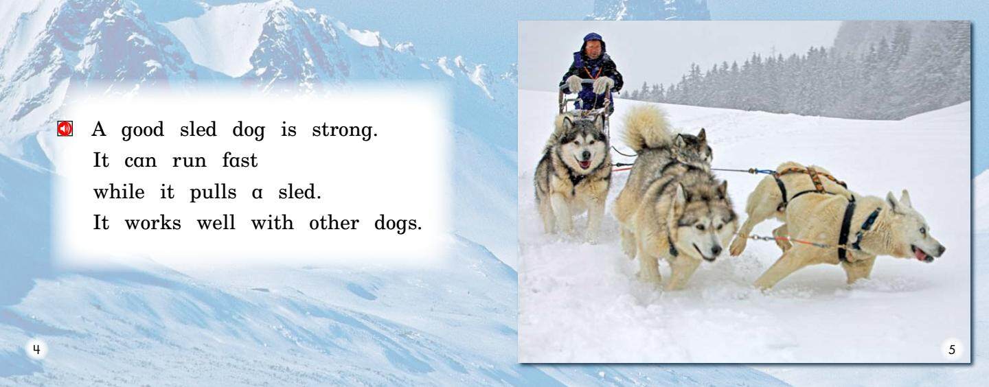 All About Sled Dogs绘本故事第4页