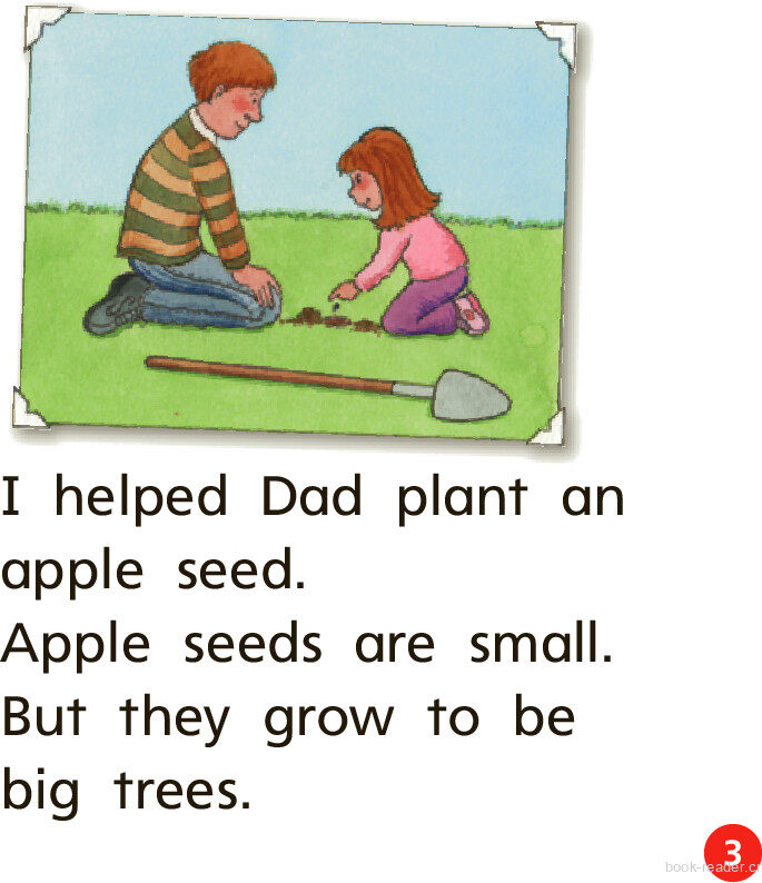 GK Beyond U05W2 Our Apple Tree绘本故事第4页