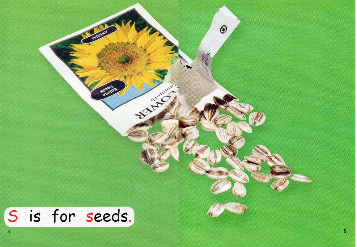 plant a plant绘本故事第4页