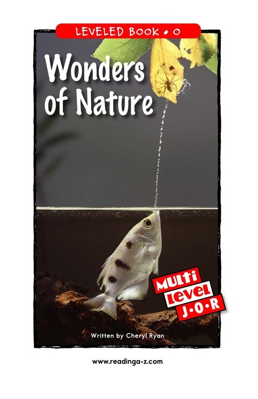 Wonders of Nature绘本故事第2页