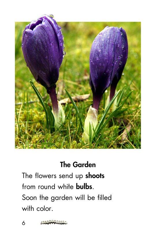 Spring Is Here绘本故事第5页