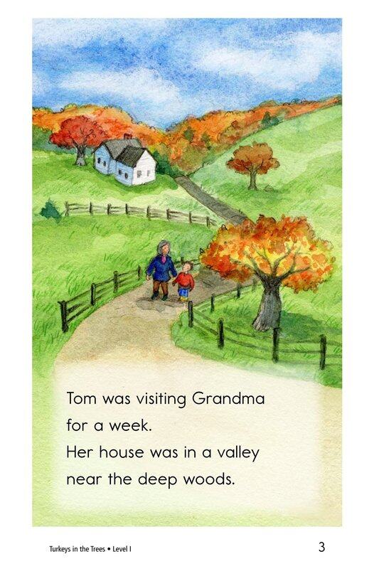 Turkeys in the Trees绘本故事第3页