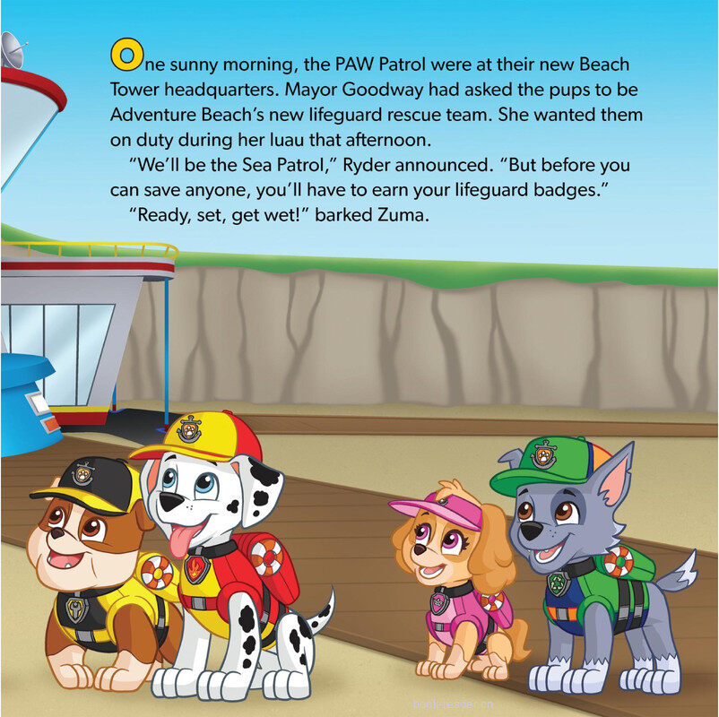 Sea Patrol to the Rescue!绘本故事第4页