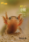 诞生了！小鲵