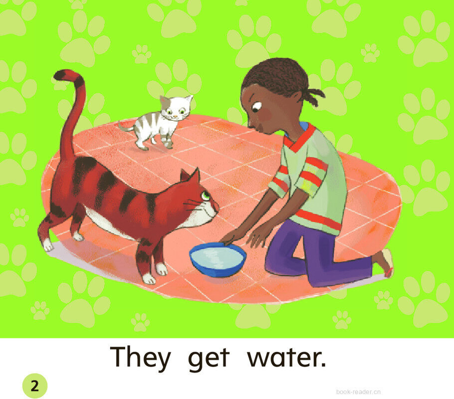 GK Approach U07W2 My Cats绘本故事第3页