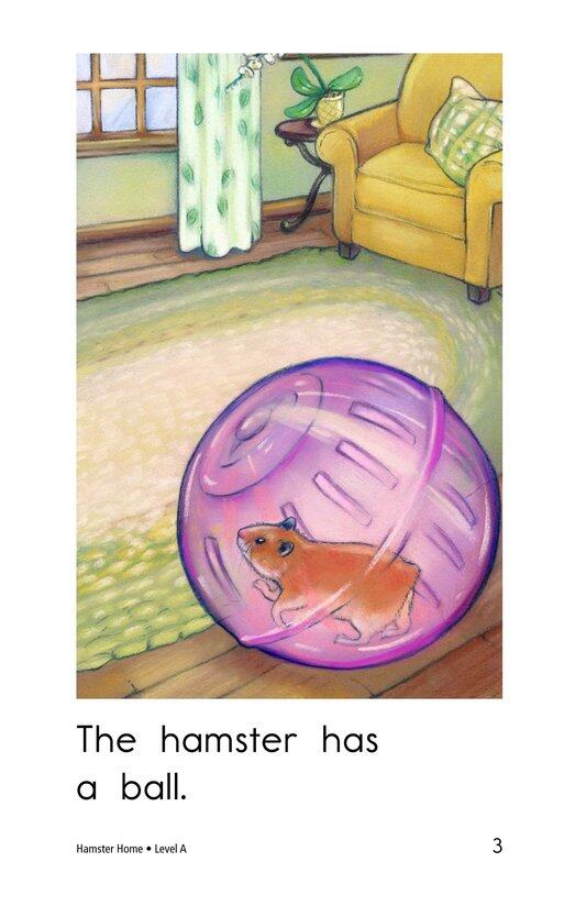 Hamster Home绘本故事第3页