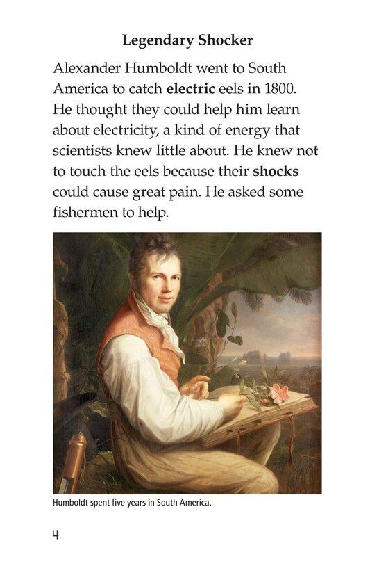 Electric Eels!绘本故事第3页