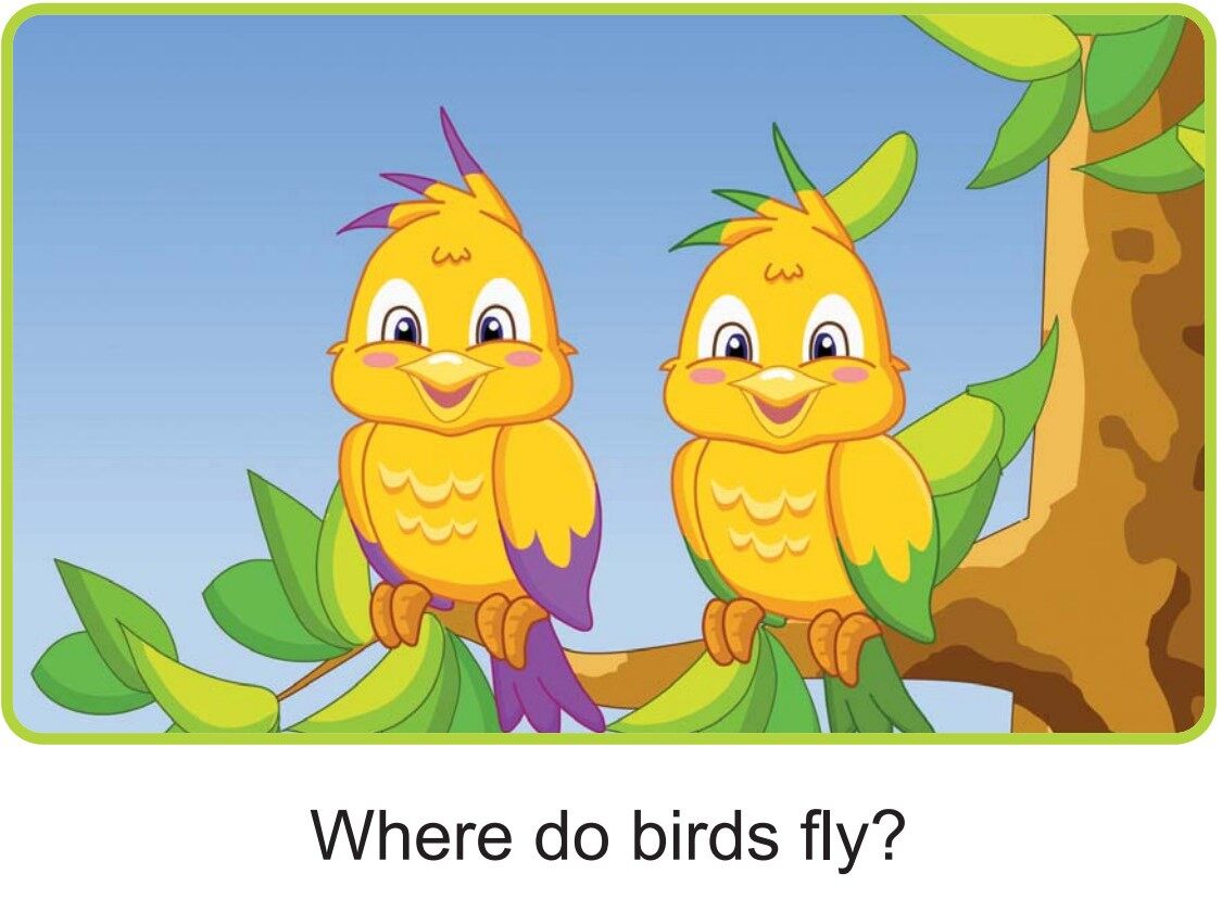 Where绘本故事第3页